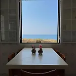 Amare Vecchio * Gallipoli